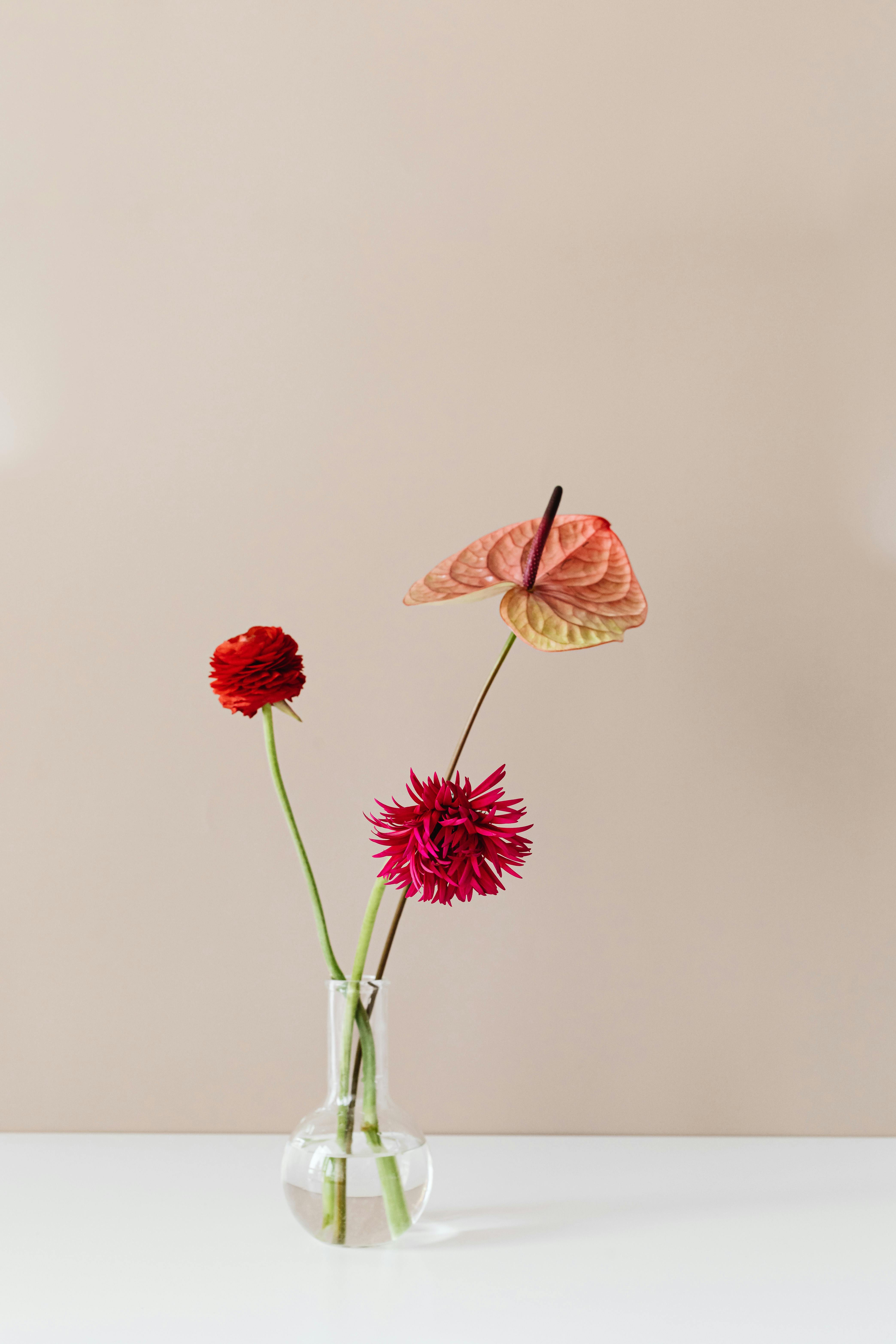 Red ranunculus and anthurium in round glass vase