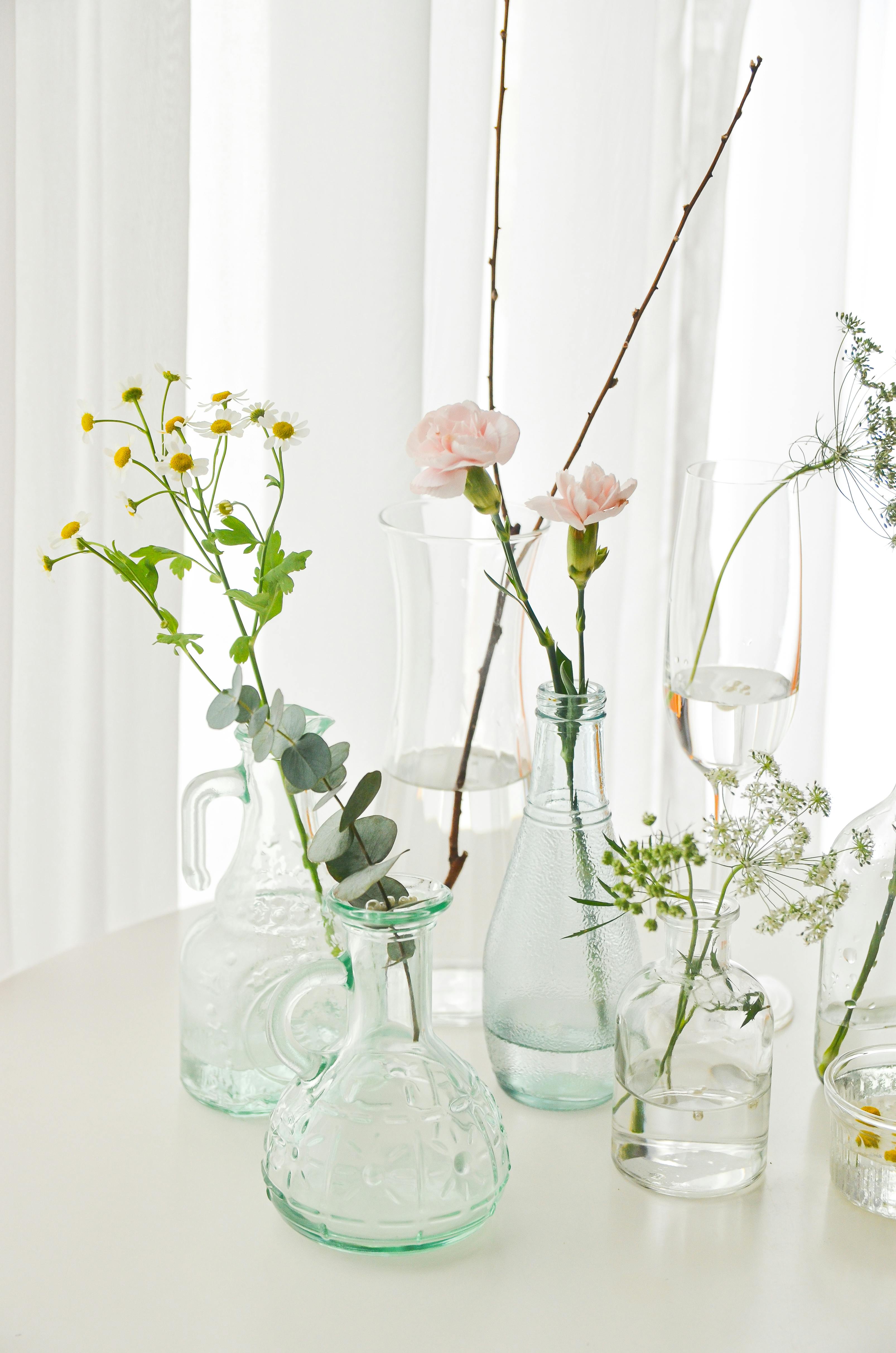 Collection of glass vases with wildflowers and carnations