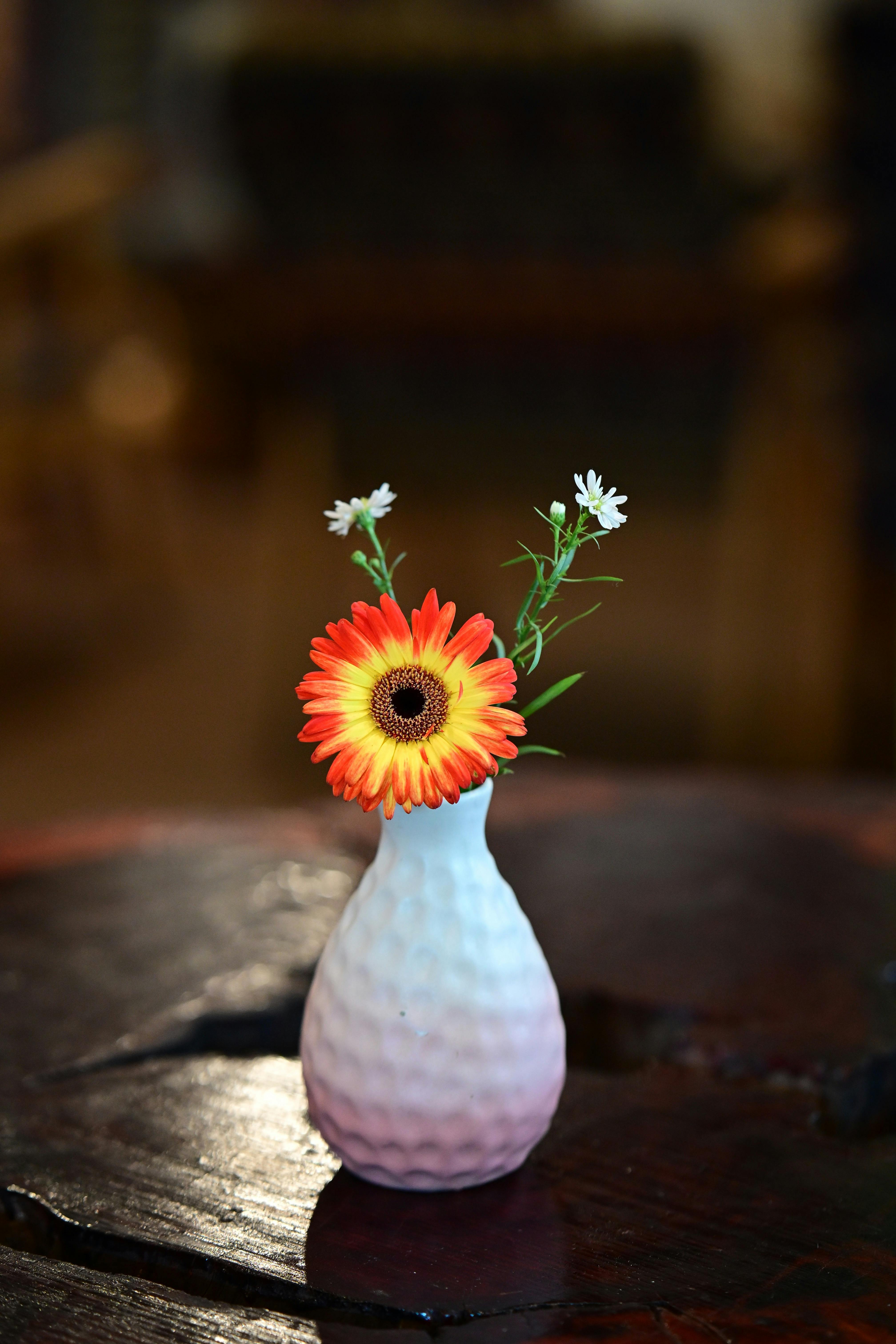 Bud vase with gerbera daisy on wooden table